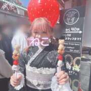 ヒメ日記 2025/04/01 22:25 投稿 ねこ 電マナイザー イラマチオン