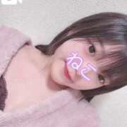 ヒメ日記 2025/04/04 20:30 投稿 ねこ 電マナイザー イラマチオン