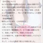ヒメ日記 2025/04/06 18:19 投稿 ねこ 電マナイザー イラマチオン