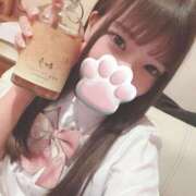 ヒメ日記 2025/04/12 05:45 投稿 ねこ 電マナイザー イラマチオン