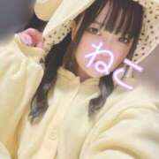 ヒメ日記 2025/04/13 22:39 投稿 ねこ 電マナイザー イラマチオン