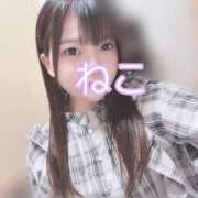 ヒメ日記 2025/04/18 23:35 投稿 ねこ 電マナイザー イラマチオン