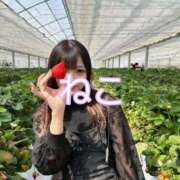 ヒメ日記 2025/04/19 19:15 投稿 ねこ 電マナイザー イラマチオン