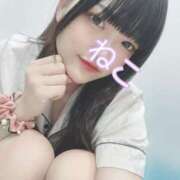 ヒメ日記 2025/04/20 11:05 投稿 ねこ 電マナイザー イラマチオン