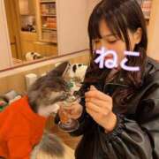 ヒメ日記 2025/04/21 12:25 投稿 ねこ 電マナイザー イラマチオン