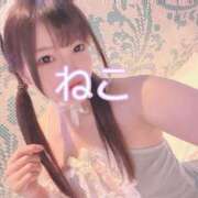 ヒメ日記 2025/04/22 12:25 投稿 ねこ 電マナイザー イラマチオン