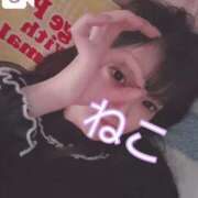 ヒメ日記 2025/04/24 21:51 投稿 ねこ 電マナイザー イラマチオン