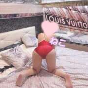 ヒメ日記 2025/04/25 12:33 投稿 ねこ 電マナイザー イラマチオン