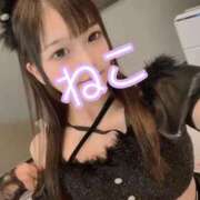 ヒメ日記 2025/04/30 18:48 投稿 ねこ 電マナイザー イラマチオン