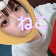 ヒメ日記 2025/05/04 17:45 投稿 ねこ 電マナイザー イラマチオン