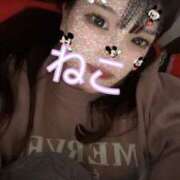 ヒメ日記 2025/05/06 18:35 投稿 ねこ 電マナイザー イラマチオン