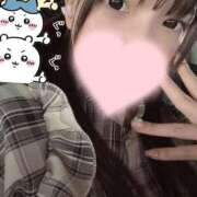 ヒメ日記 2025/05/08 18:55 投稿 ねこ 電マナイザー イラマチオン