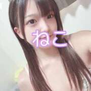 ヒメ日記 2025/05/09 17:51 投稿 ねこ 電マナイザー イラマチオン