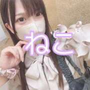 ヒメ日記 2025/05/10 17:25 投稿 ねこ 電マナイザー イラマチオン