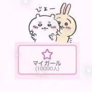 ヒメ日記 2025/05/11 18:35 投稿 ねこ 電マナイザー イラマチオン