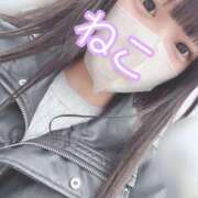 ヒメ日記 2025/05/12 18:05 投稿 ねこ 電マナイザー イラマチオン