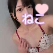 ヒメ日記 2025/05/14 23:25 投稿 ねこ 電マナイザー イラマチオン