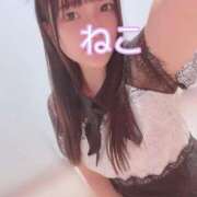 ヒメ日記 2025/05/16 19:09 投稿 ねこ 電マナイザー イラマチオン