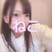 ヒメ日記 2025/05/27 19:55 投稿 ねこ 電マナイザー イラマチオン