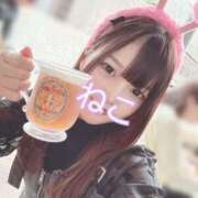 ヒメ日記 2025/06/02 19:30 投稿 ねこ 電マナイザー イラマチオン