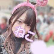 ヒメ日記 2025/06/03 17:35 投稿 ねこ 電マナイザー イラマチオン