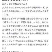 ヒメ日記 2025/06/09 17:19 投稿 ねこ 電マナイザー イラマチオン