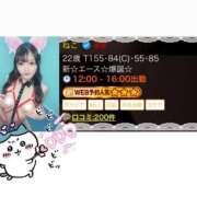 ヒメ日記 2025/06/20 20:45 投稿 ねこ 電マナイザー イラマチオン