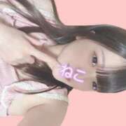 ヒメ日記 2025/06/25 18:45 投稿 ねこ 電マナイザー イラマチオン