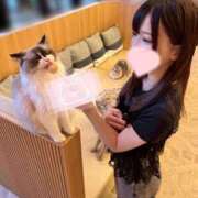 ヒメ日記 2025/06/25 21:15 投稿 ねこ 電マナイザー イラマチオン