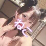 ヒメ日記 2025/06/25 23:45 投稿 ねこ 電マナイザー イラマチオン