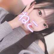 ヒメ日記 2025/06/27 00:15 投稿 ねこ 電マナイザー イラマチオン