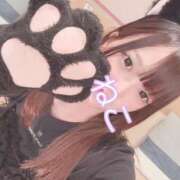 ヒメ日記 2025/06/30 20:29 投稿 ねこ 電マナイザー イラマチオン