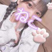 ヒメ日記 2025/07/02 17:45 投稿 ねこ 電マナイザー イラマチオン