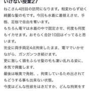 ヒメ日記 2025/07/02 20:35 投稿 ねこ 電マナイザー イラマチオン