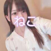 ヒメ日記 2025/07/10 12:06 投稿 ねこ 電マナイザー イラマチオン