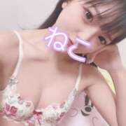 ヒメ日記 2025/07/12 17:35 投稿 ねこ 電マナイザー イラマチオン