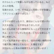 ヒメ日記 2025/07/13 17:25 投稿 ねこ 電マナイザー イラマチオン