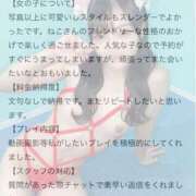 ヒメ日記 2025/07/13 18:18 投稿 ねこ 電マナイザー イラマチオン