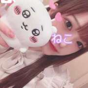 ヒメ日記 2025/07/20 18:45 投稿 ねこ 電マナイザー イラマチオン