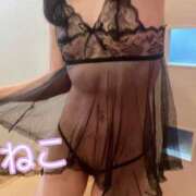 ヒメ日記 2025/07/22 17:45 投稿 ねこ 電マナイザー イラマチオン