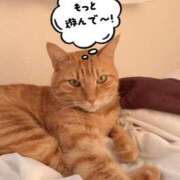 ヒメ日記 2025/07/23 16:25 投稿 ねこ 電マナイザー イラマチオン