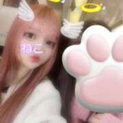 ヒメ日記 2025/07/25 12:08 投稿 ねこ 電マナイザー イラマチオン