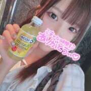 ヒメ日記 2025/07/27 00:25 投稿 ねこ 電マナイザー イラマチオン