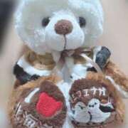 ヒメ日記 2025/07/27 15:25 投稿 ねこ 電マナイザー イラマチオン