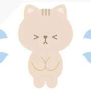 ヒメ日記 2025/07/27 16:05 投稿 ねこ 電マナイザー イラマチオン