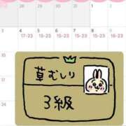 ヒメ日記 2025/07/27 23:25 投稿 ねこ 電マナイザー イラマチオン