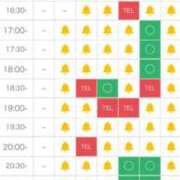 ヒメ日記 2025/08/03 20:05 投稿 ねこ 電マナイザー イラマチオン