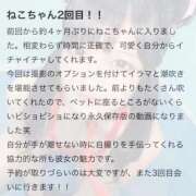 ヒメ日記 2025/08/03 20:22 投稿 ねこ 電マナイザー イラマチオン