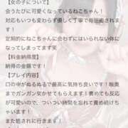 ヒメ日記 2025/08/03 21:15 投稿 ねこ 電マナイザー イラマチオン