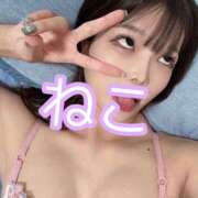 ヒメ日記 2025/08/05 00:25 投稿 ねこ 電マナイザー イラマチオン